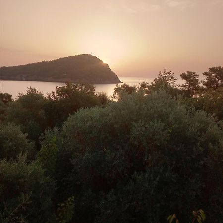 King Studios Κοίνυρα Εξωτερικό φωτογραφία