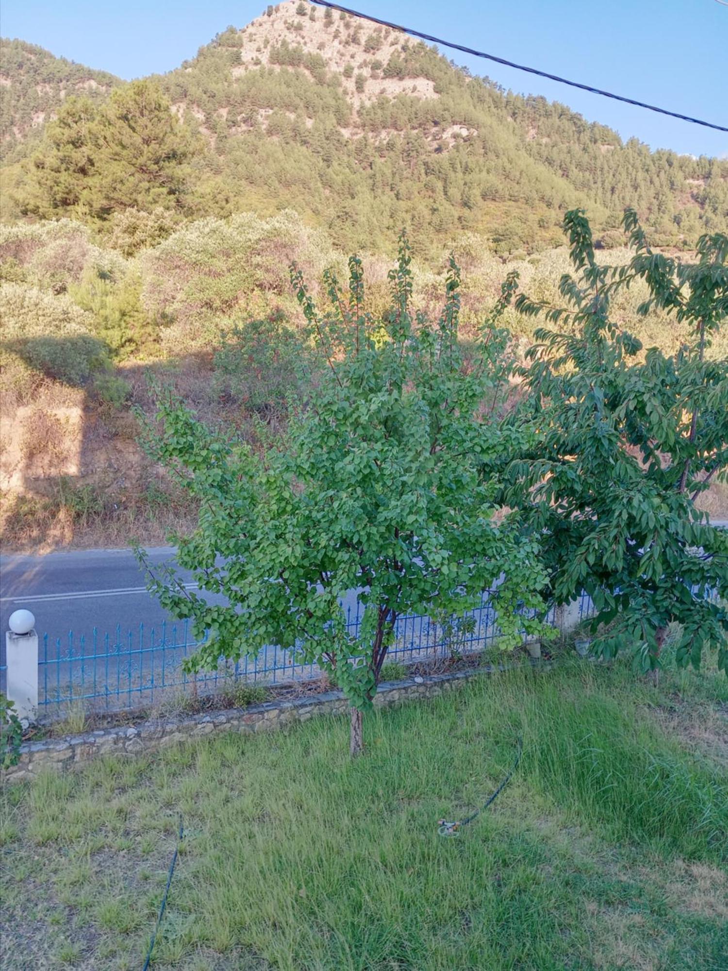 King Studios Κοίνυρα Εξωτερικό φωτογραφία