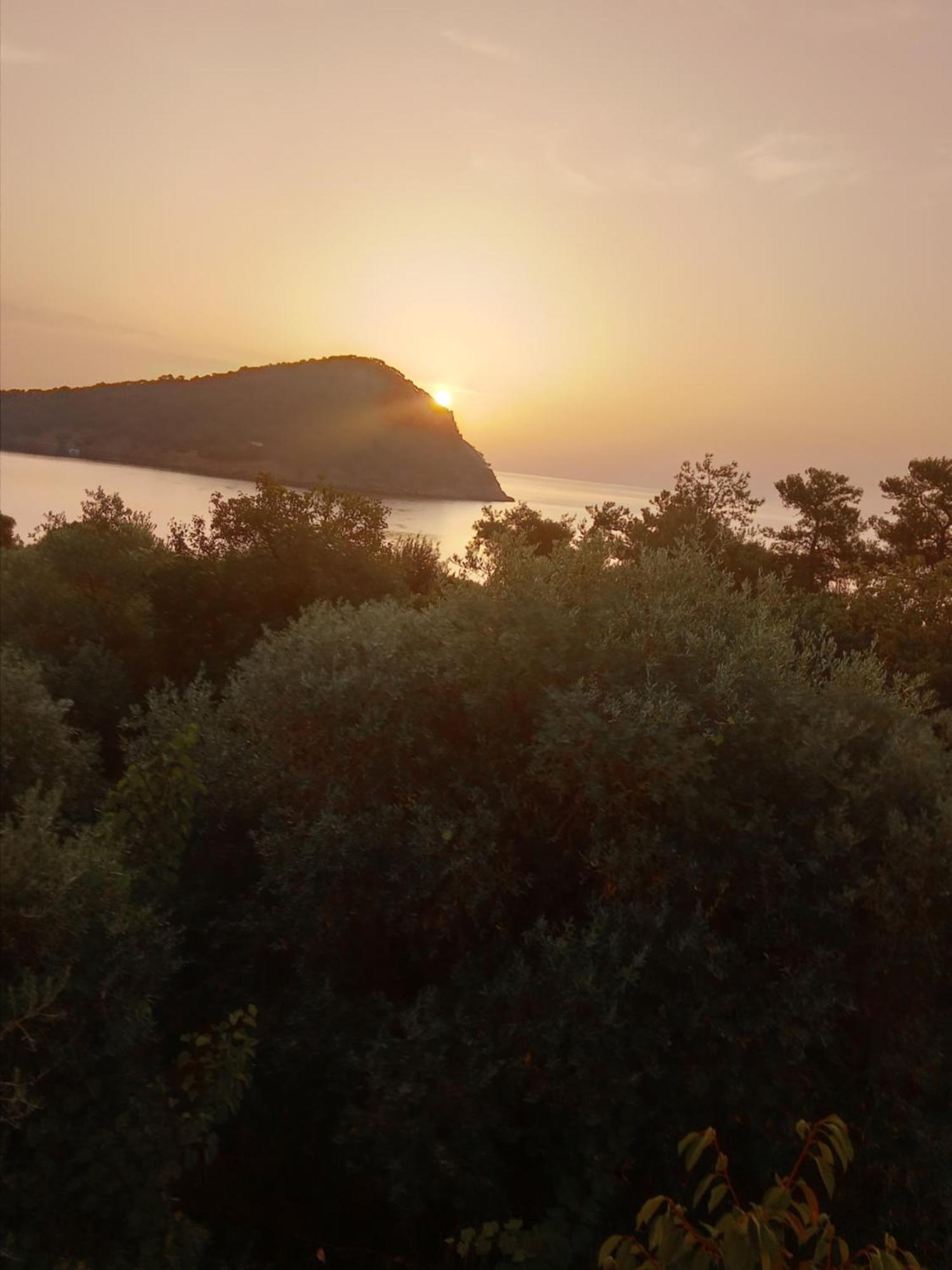 King Studios Κοίνυρα Εξωτερικό φωτογραφία